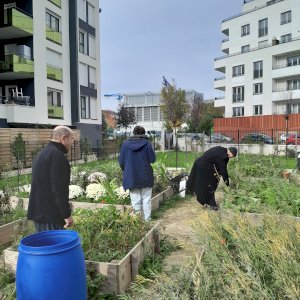 Réciprocité - Réciprocité - Coordinateur·rice -  Animateur·rice Aulnay-sous-Bois CDD 6 mois 