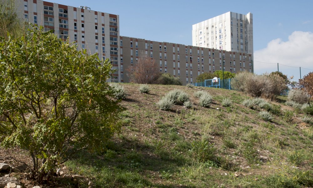 Réciprocité - Réciprocité - Chers Voisins Les Bosquets, Hyères les Palmiers 