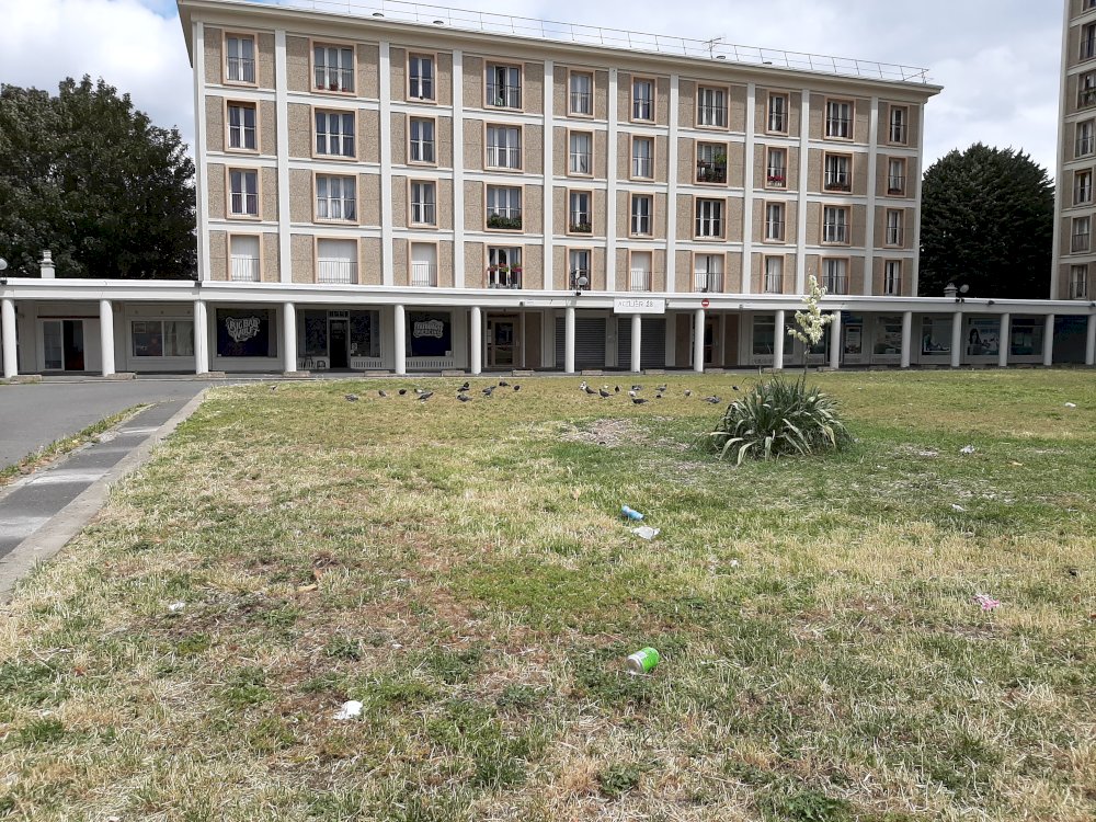 Réciprocité - media -  