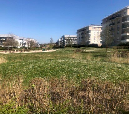 Réciprocité - media -  