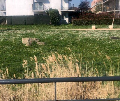 Réciprocité - media -  