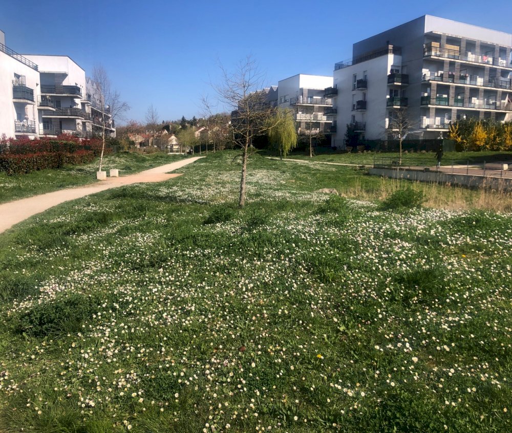 Réciprocité - media -  