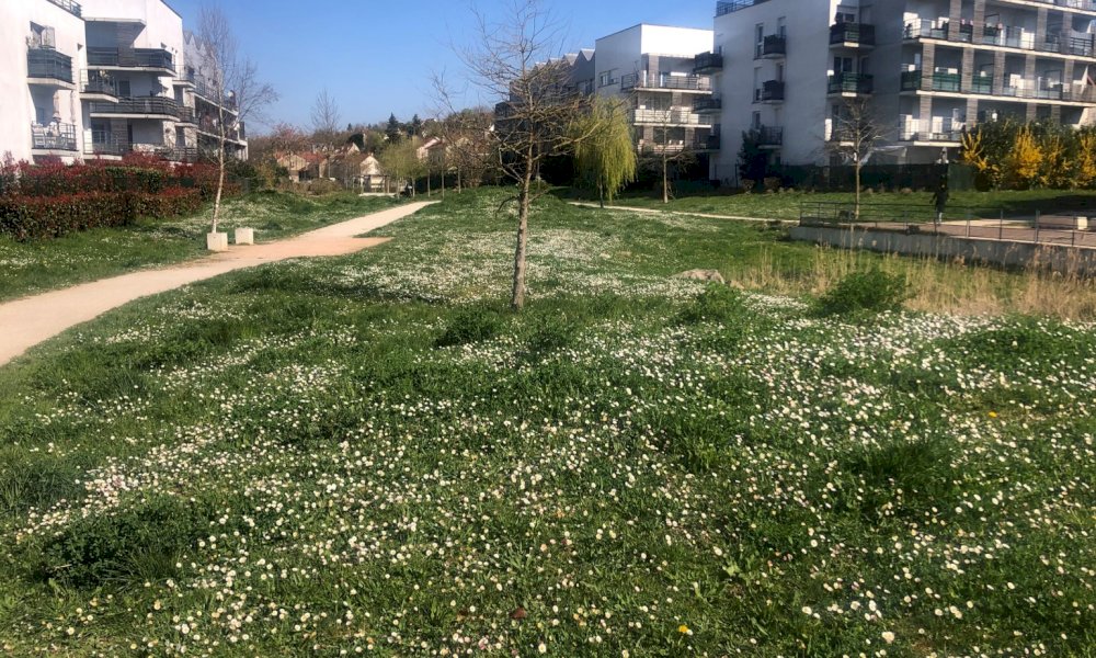 Réciprocité - Réciprocité - Diagnostic d'usages du Parc de la Papeterie à Corbeil Essonnes 