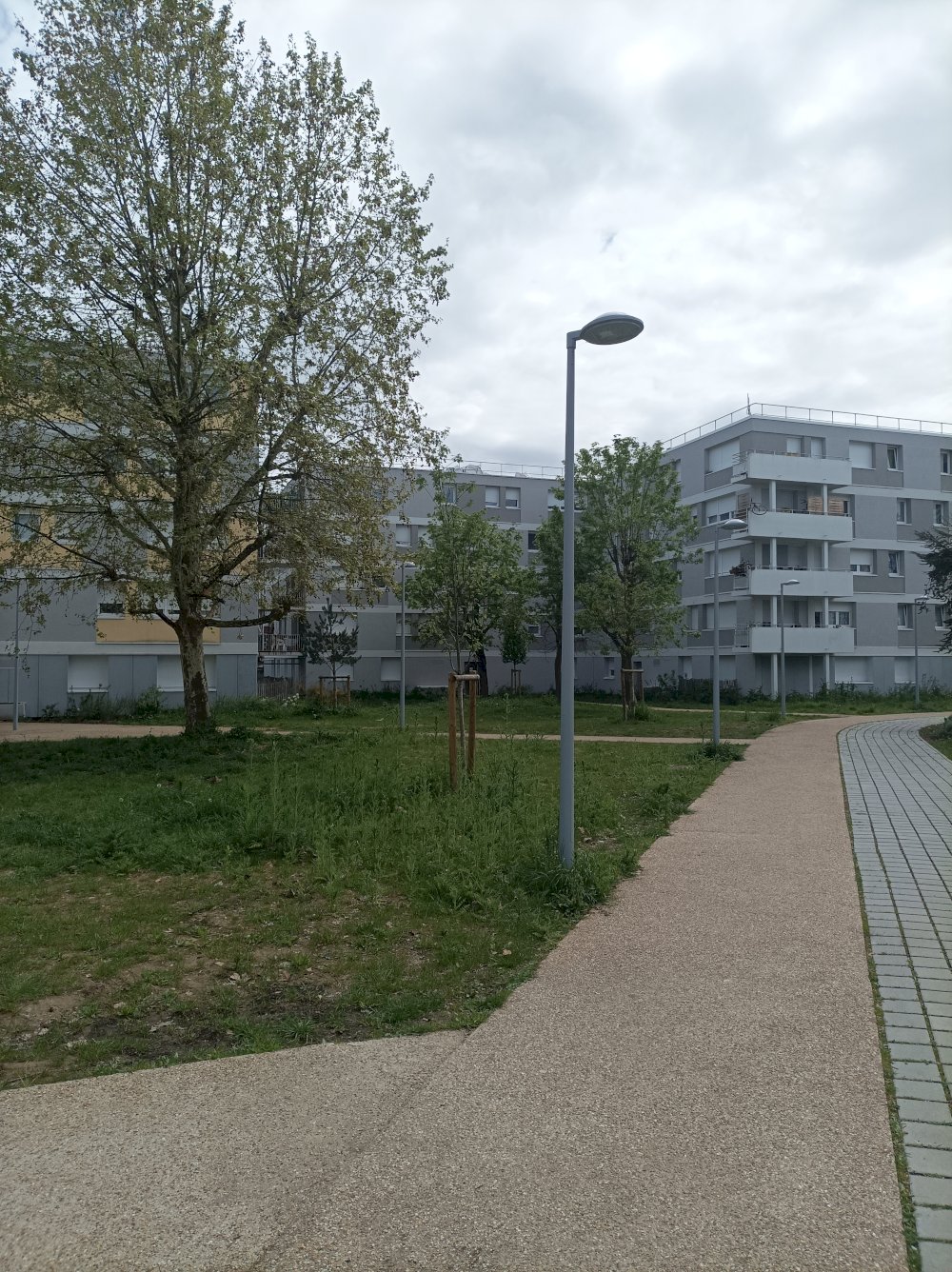 Réciprocité - media -  