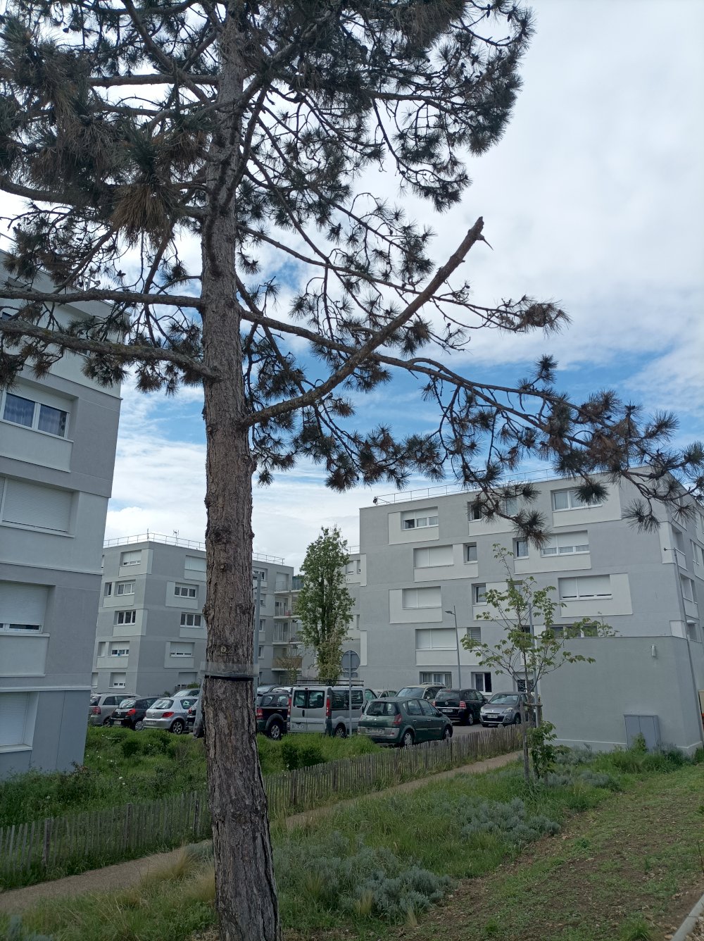 Réciprocité - media -  
