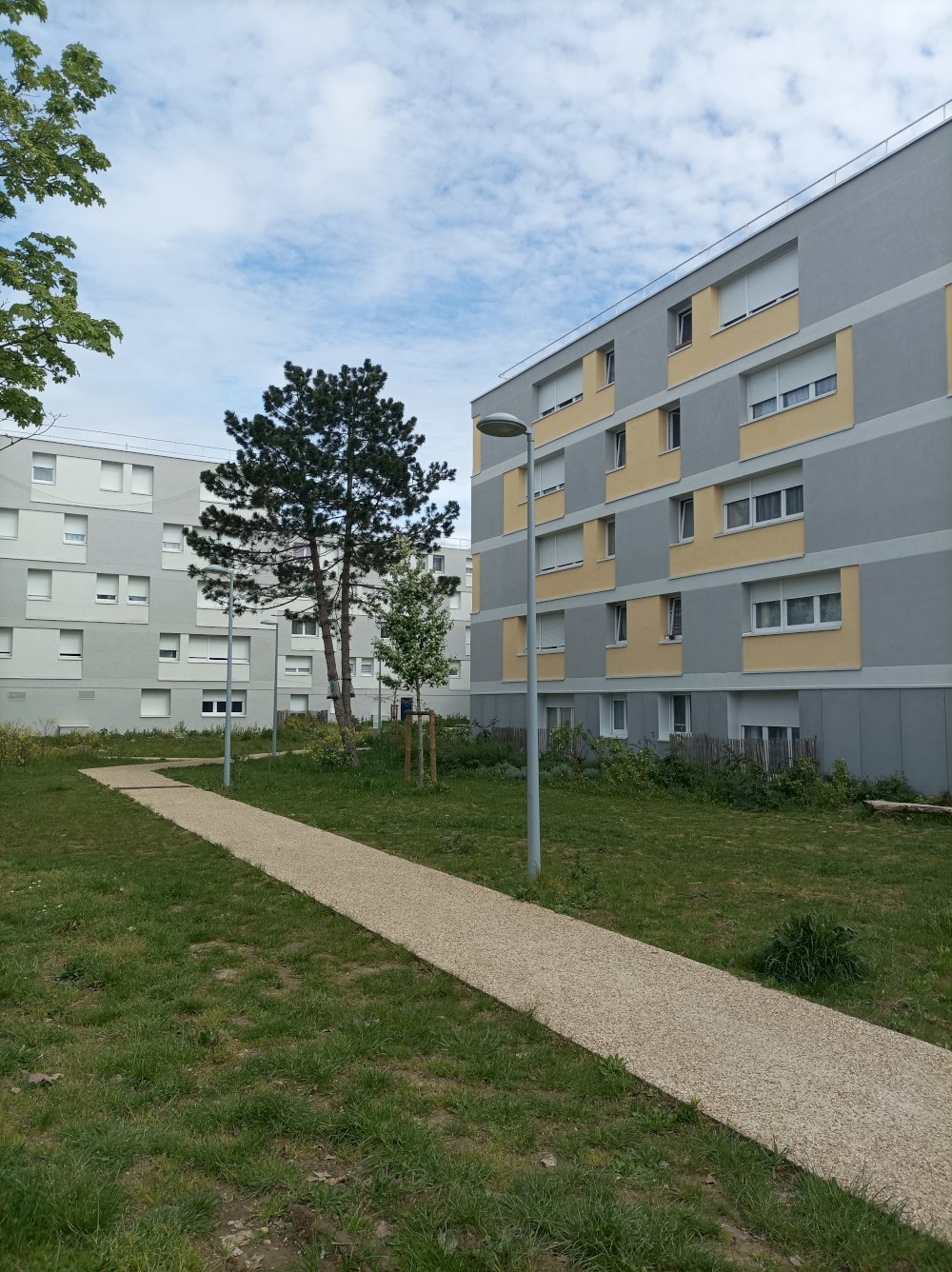 Réciprocité - media -  