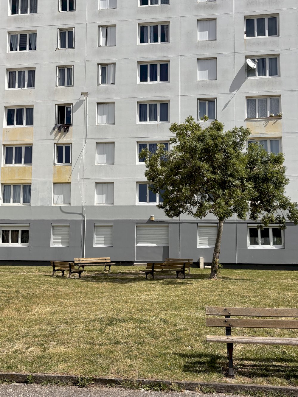 Réciprocité - media -  